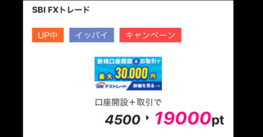 【SBI FXトレード】20万通貨取引＋αで35500円の利益をとる方法
